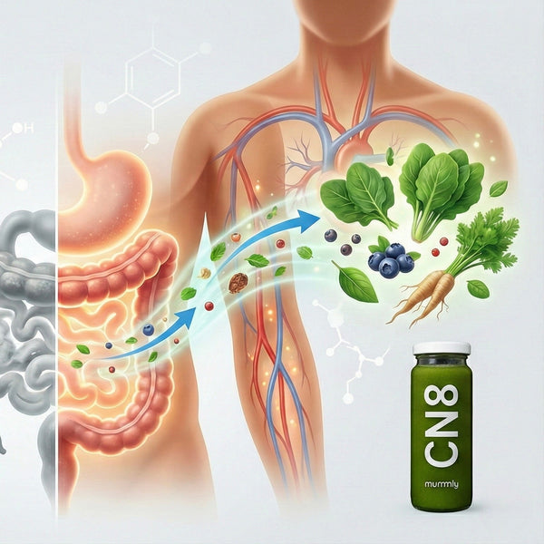 How does Bioavailability of a supplement matter?